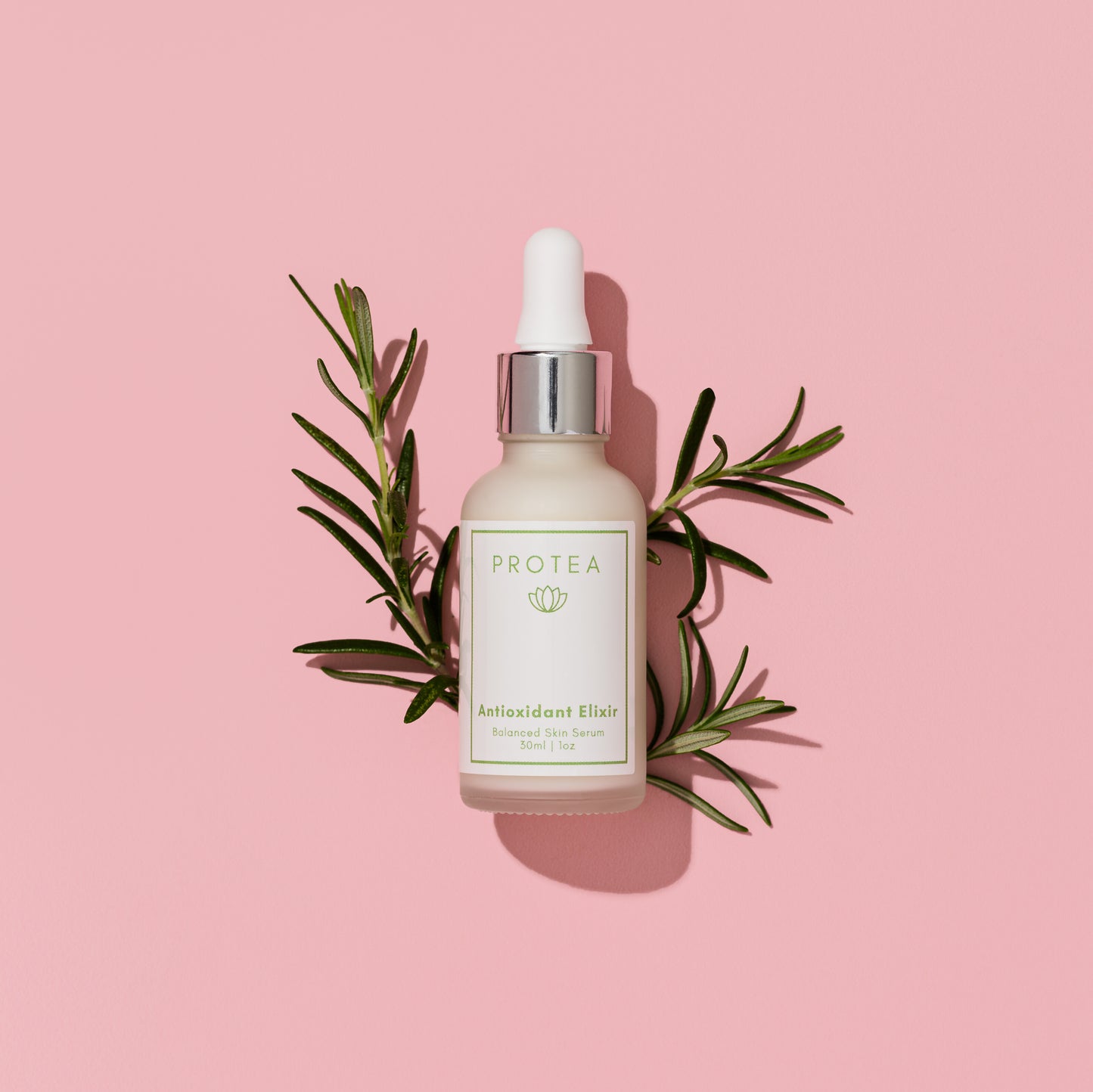 Wholesale Antioxidant Elixir
